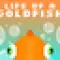 Life of a Goldfish