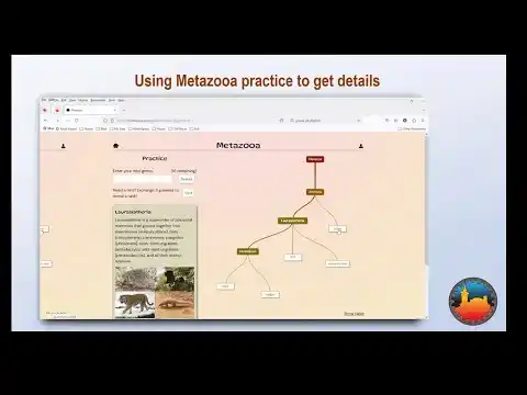 Metazooa Gameplay Introduction