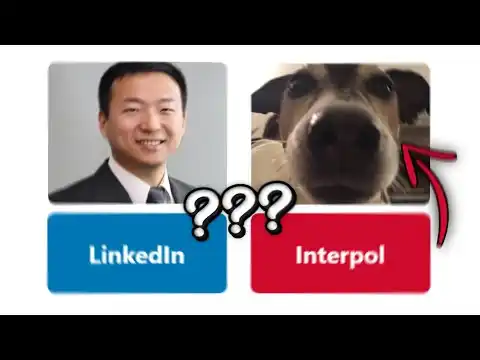 Linkedin or Interpol Gameplay Introduction