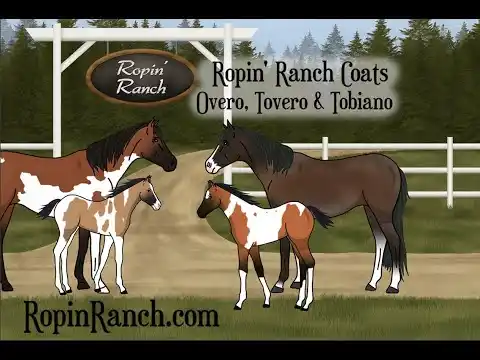 Ropin' Ranch Gameplay Introduction