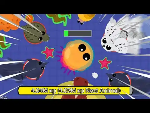 roams Gameplay Introduction