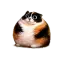 BURMALDA CLICKER