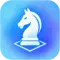 Chess4D