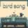 birdsong