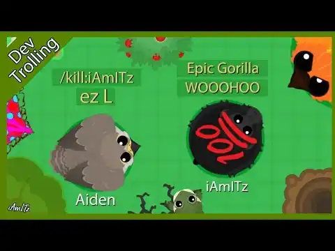 roams Gameplay Introduction